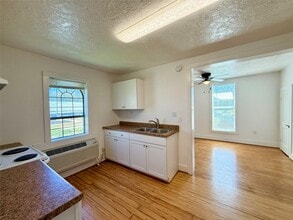 232 S Tesch St in Bellville, TX - Building Photo - Building Photo