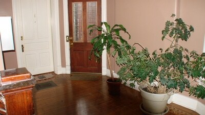 1142 Garvin Pl in Louisville, KY - Building Photo - Building Photo