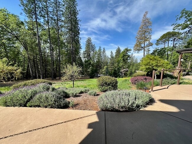 10359 Buffington Ct in Nevada City, CA - Foto de edificio - Building Photo