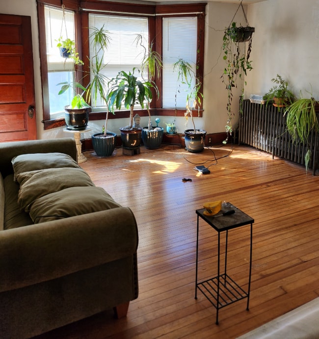 386 3rd Ave in Troy, NY - Building Photo - Building Photo