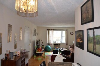 62 Parkman St, Unit 3B in Brookline, MA - Building Photo - Building Photo