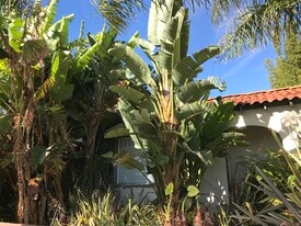 1057 E Main St in Ventura, CA - Building Photo