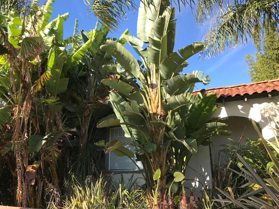 1057 E Main St in Ventura, CA - Building Photo