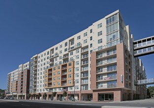 The Standard at Gainesville in Gainesville, FL - Building Photo - Building Photo