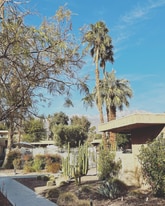 2303 Los Patos Dr in Palm Springs, CA - Building Photo