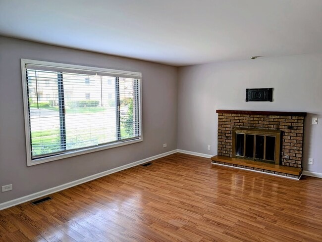 1003 Manchester Ct in South Elgin, IL - Foto de edificio - Building Photo