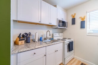 734 Vine St in Reno, NV - Building Photo - Building Photo