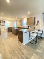 17151 Cory Cornel Ln in Richmond, TX - Building Photo