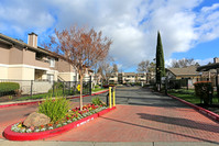 Peppertree in Pittsburg, CA - Building Photo - Building Photo