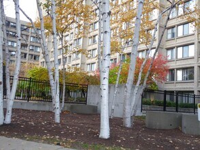 1731 Beacon St, Unit #310 in Brookline, MA - Building Photo - Building Photo