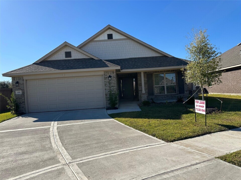 4201 Chadwick Rd in Texas City, TX - Building Photo