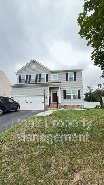 8843 Proctors Run Dr in Richmond, VA - Building Photo