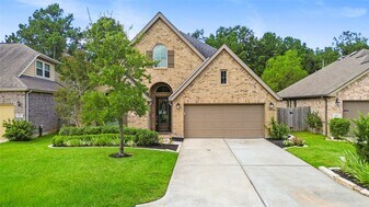 267 Capriccio Ln in Montgomery, TX - Building Photo