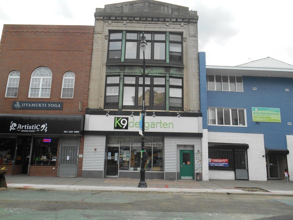 173 Newark Ave in Jersey City, NJ - Building Photo