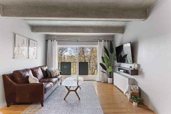 1265 Race St in Denver, CO - Building Photo - Building Photo