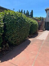 1279 California Dr in Burlingame, CA - Building Photo - Building Photo