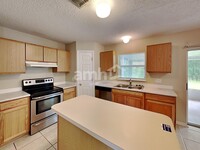 9315 Zincoe Ln in Land O Lakes, FL - Building Photo - Building Photo