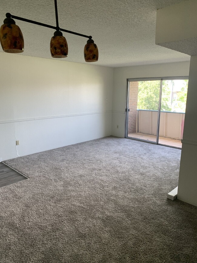 property at 5126 Williams Fork Trail