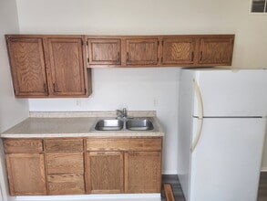 1513 Des Moines St in Des Moines, IA - Building Photo - Building Photo