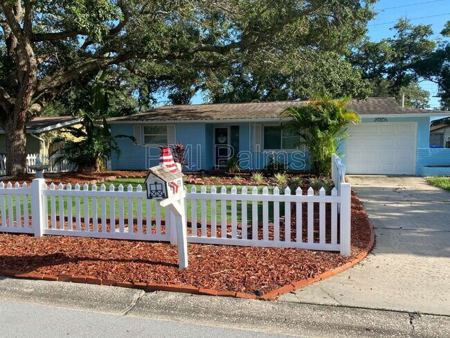 property at 649 Jacaranda St