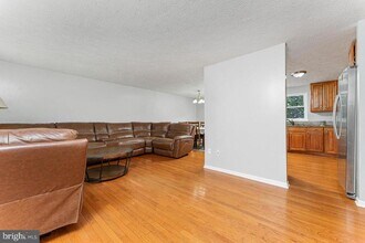 223 Laura Anne Ct in Sterling, VA - Building Photo - Building Photo