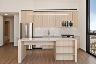 519 S Damen Ave in Chicago, IL - Foto de edificio - Building Photo