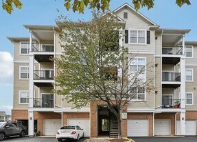 19606 Galway Bay Circle in Germantown, MD - Building Photo