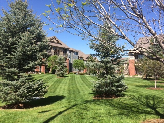 property at 804 Summer Hawk Dr