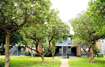 Palms Apartments in Edinburg, TX - Foto de edificio - Building Photo