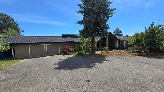 1365 Watertrough Rd in Sebastopol, CA - Building Photo - Building Photo