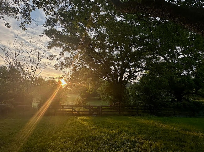 14757 County Rd 1125 in Tyler, TX - Foto de edificio - Building Photo