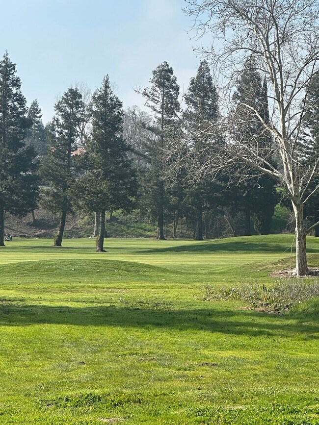 891 St Andrews Dr in Valley Springs, CA - Building Photo - Building Photo