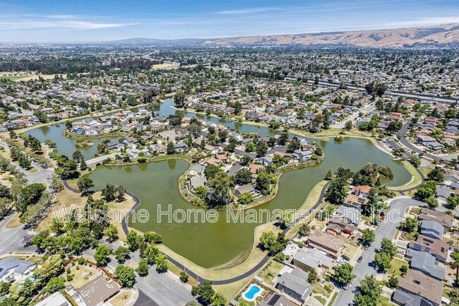 5246 Hebrides Ct in Newark, CA - Foto de edificio - Building Photo