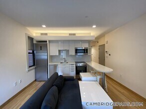 115 Mt Auburn St in Cambridge, MA - Building Photo - Building Photo