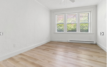 20 Kenwood St, Unit B in Boston, MA - Building Photo - Building Photo