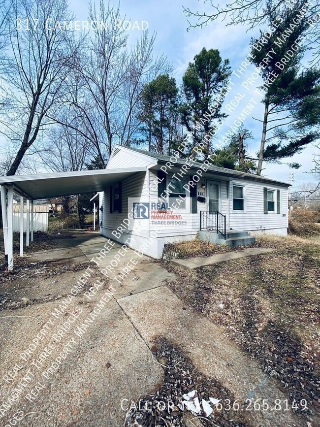 property at 317 Cameron Rd