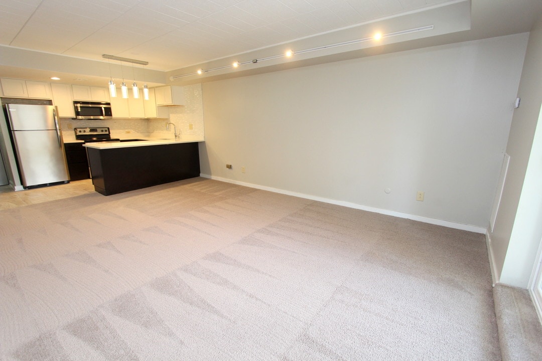 Negley Apartments in Pittsburgh, PA - Building Photo