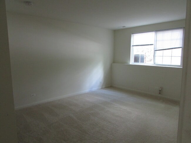493 Conservatory Ln in Aurora, IL - Building Photo - Building Photo