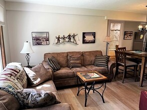 240 La Bonte St in Dillon, CO - Building Photo - Building Photo