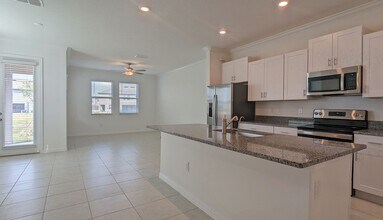 31752 Blue Passing Loop in Wesley Chapel, FL - Building Photo - Building Photo
