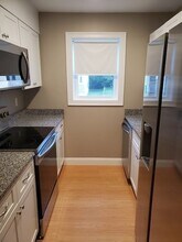 110 Lucerne St in Boston, MA - Foto de edificio - Building Photo