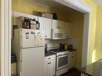 43 Orkney Rd, Unit 1 in Boston, MA - Building Photo - Building Photo