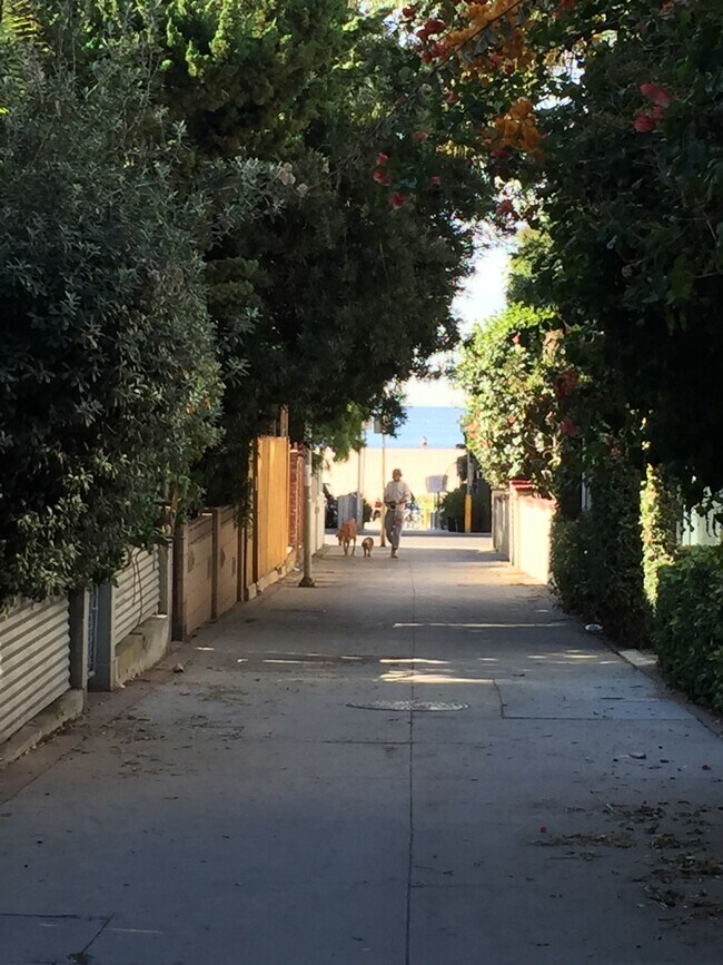 33 Paloma Ave, Unit #1 in Los Angeles, CA - Building Photo - Building Photo