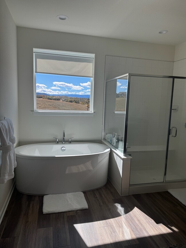 164 Welded Tuff Trl in Castle Rock, CO - Building Photo - Building Photo