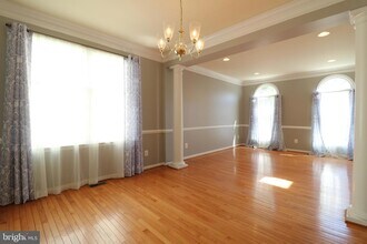 25497 Carrington Dr in Chantilly, VA - Foto de edificio - Building Photo