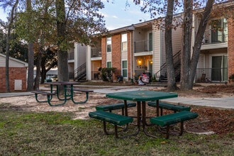 800 Bellshire Apartments in Conroe, TX - Foto de edificio - Building Photo