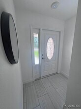 3 Chinaberry Cir in Homosassa, FL - Building Photo - Building Photo