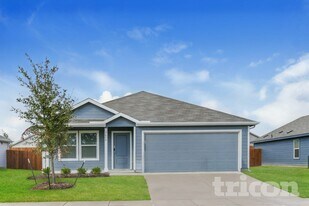 1616 Parlier St in McKinney, TX - Building Photo