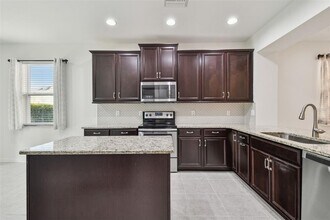 17596 Terrazzo Way in Land O Lakes, FL - Building Photo - Building Photo