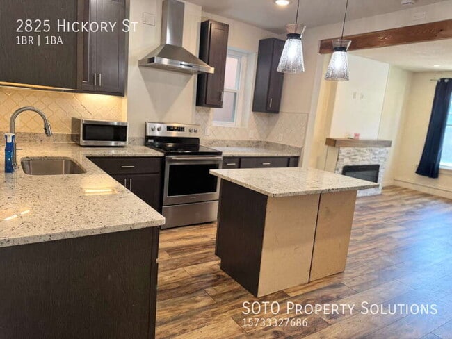 2825 Hickory St in St. Louis, MO - Building Photo - Building Photo